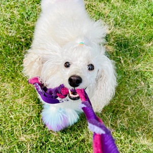 Fundraising Page: Bethany King